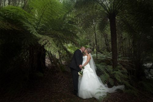 Wedding Photography in a rainforest setting inthe Yarra Valley Melbourne